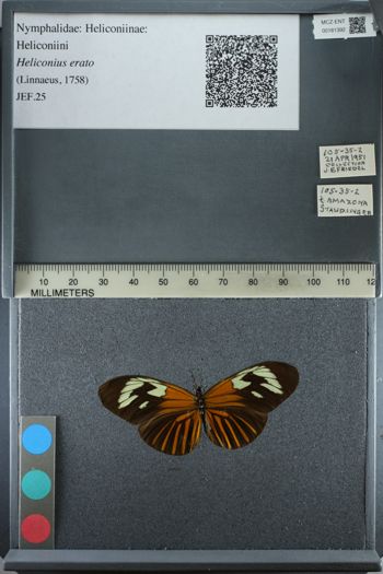 Media type: image;   Entomology 181392